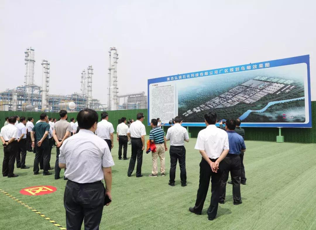 乡村振兴十大特色项目可研报告,乡村振兴百村示范项目