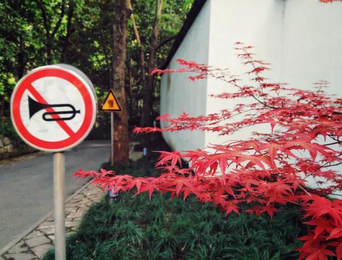 杭州灵隐寺招人火爆热搜，不用出家！当初入职90后小伙再度走红：一年半瘦20斤，8小时上班制，KPI随缘