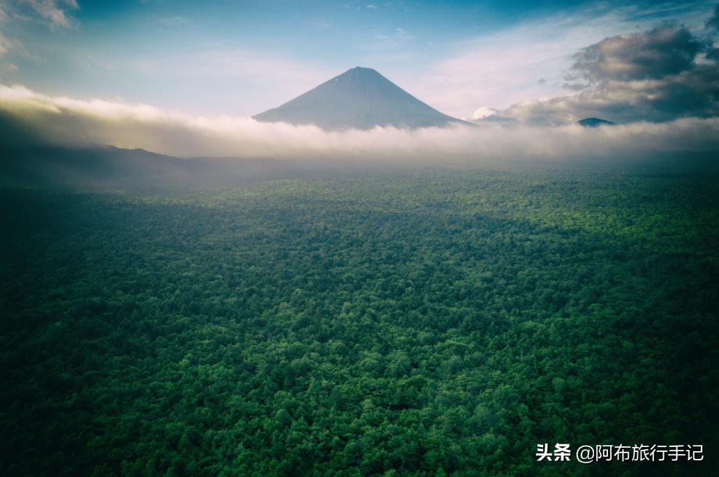 日本涩谷万圣节旅游攻略,日本东京高楼看涩谷万圣节盛况