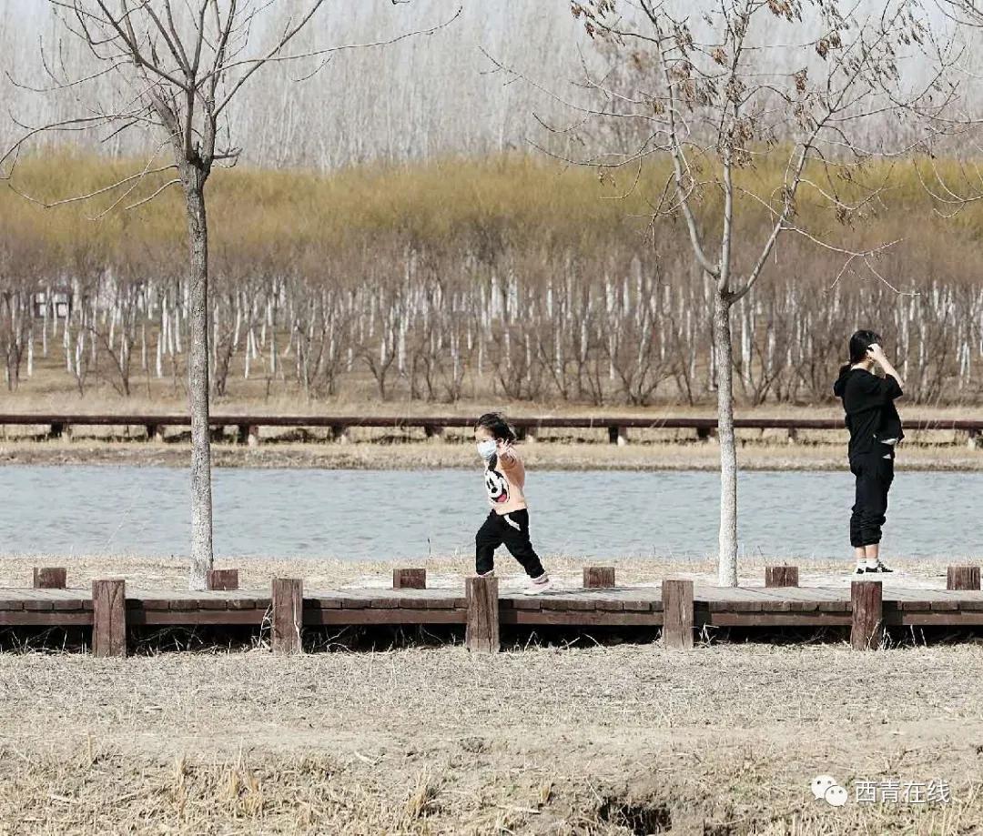 天津东疆港亲海公园今天开放吗,天津将新添一座公园预计开放时间