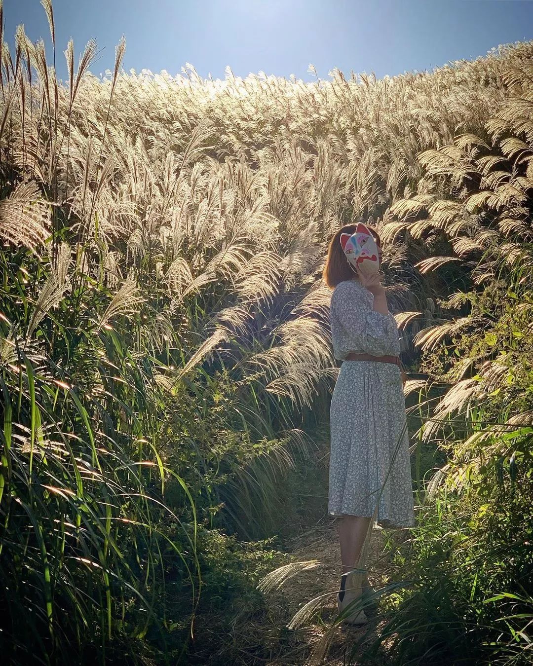 名古屋附近值得去的地方,名古屋附近有好玩的地方吗