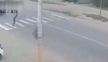 女人遇到狼怎么办,女孩遇见色狼如何自救