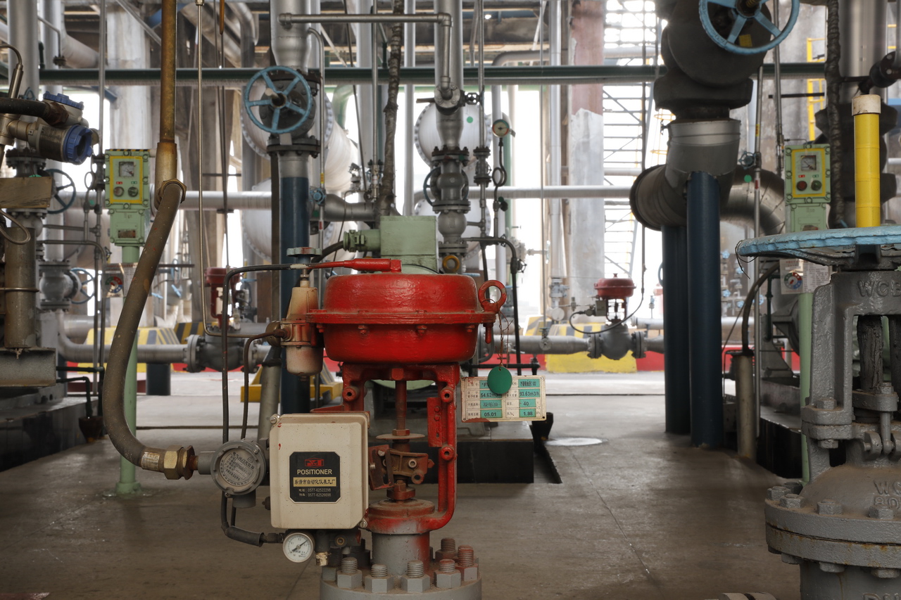 大武汉系列,武汉石油化工企业