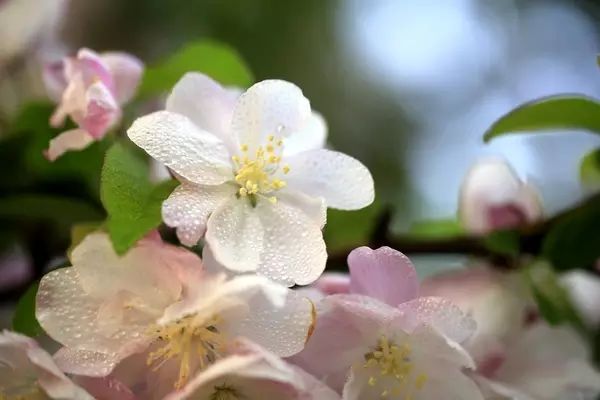 北京房山团建踏青地点推荐,北京房山春季旅游最佳去处