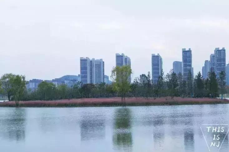 南京哪几个公园免费又好玩,南京莫愁湖公园免费