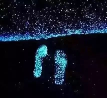 惠州双月湾君廷酒店攻略,惠州双月湾君廷度假酒店自助餐