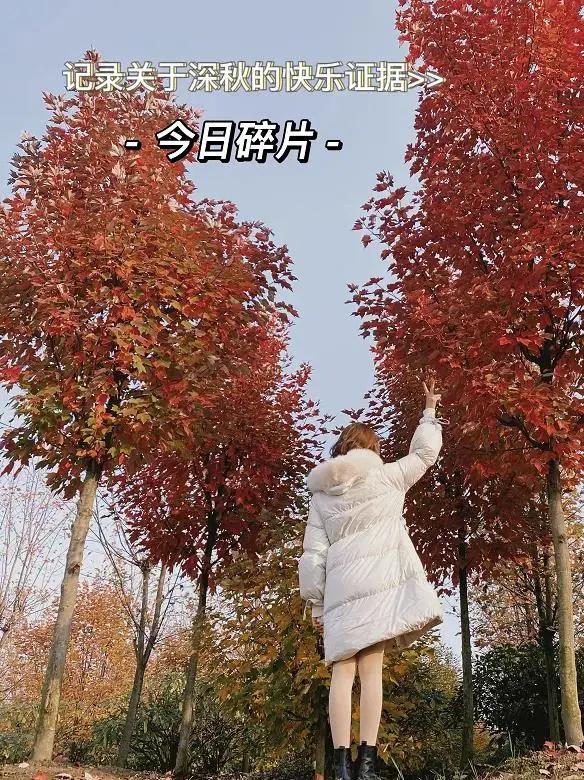 横山红枫岭风景区,唐昌镇横山红枫岭