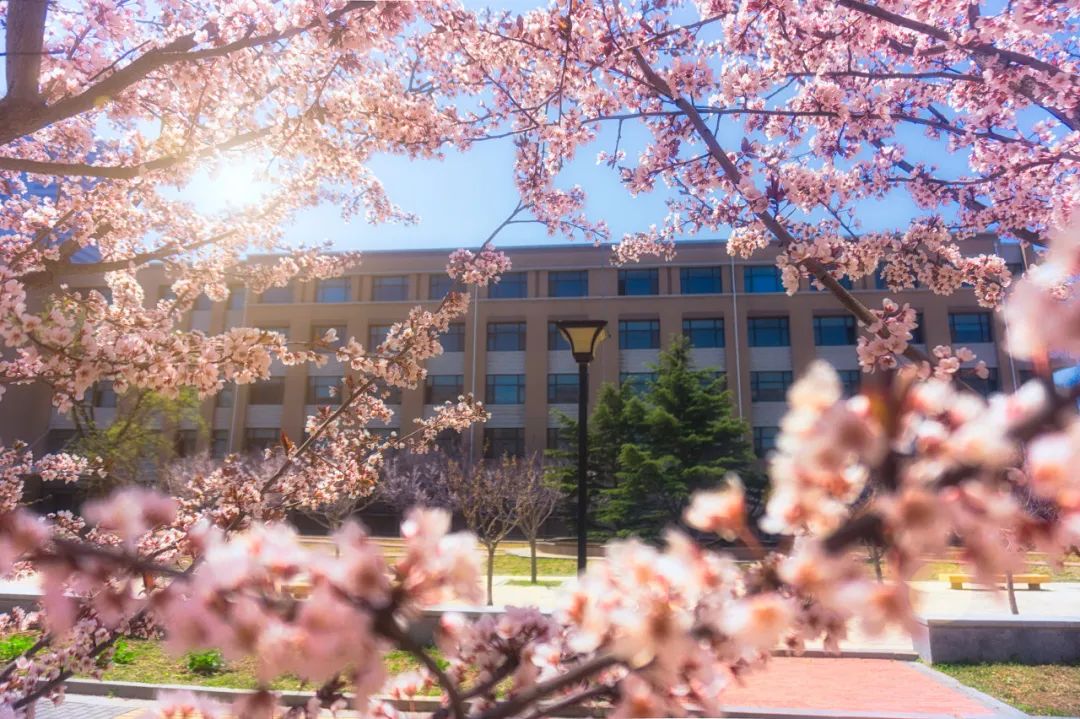 美过三亚!比厦门浪漫!大连这座海滨老城,去一次相当于环游世界