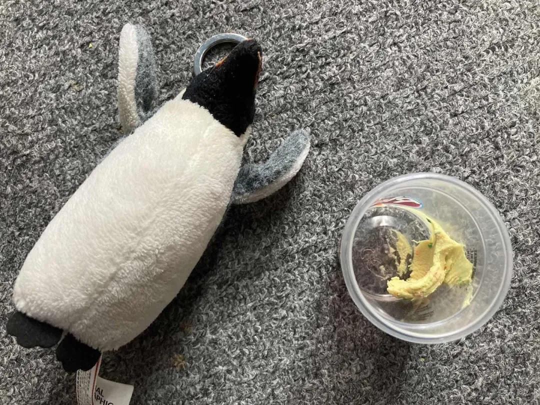 彩泥安全不,符合安全标准的彩泥有哪些