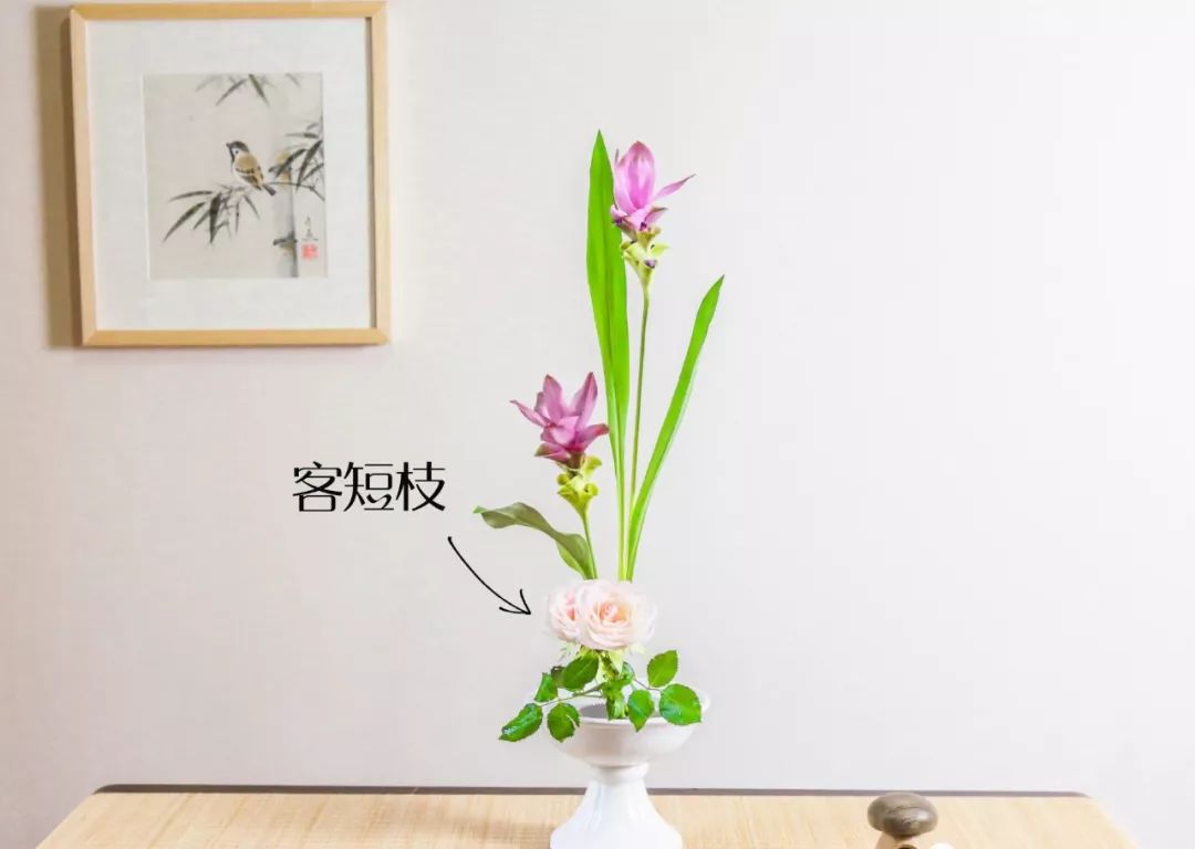 小原流花道国际标准教程,小流源花道入门教程视频