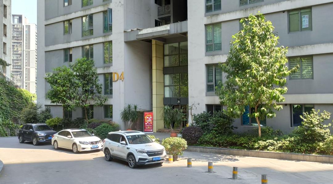 重庆房价为何跌得如此厉害,炒房客集中抛售房价