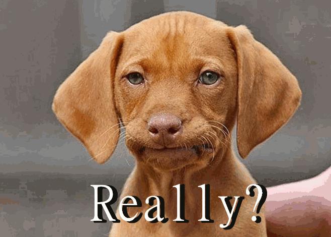 周雨彤穿板鞋图片,周雨彤spell牛仔裤穿搭