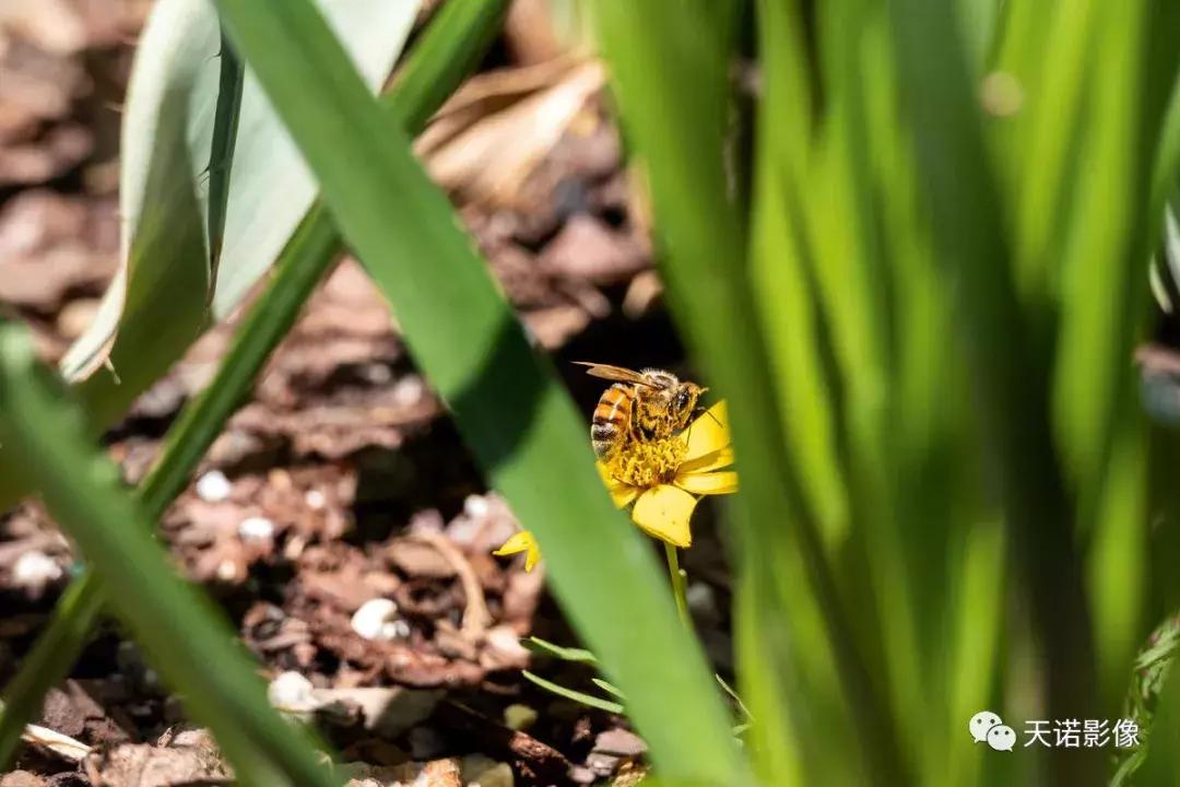 徕卡v-lux5换镜头,徕卡v-lux5值得拥有吗