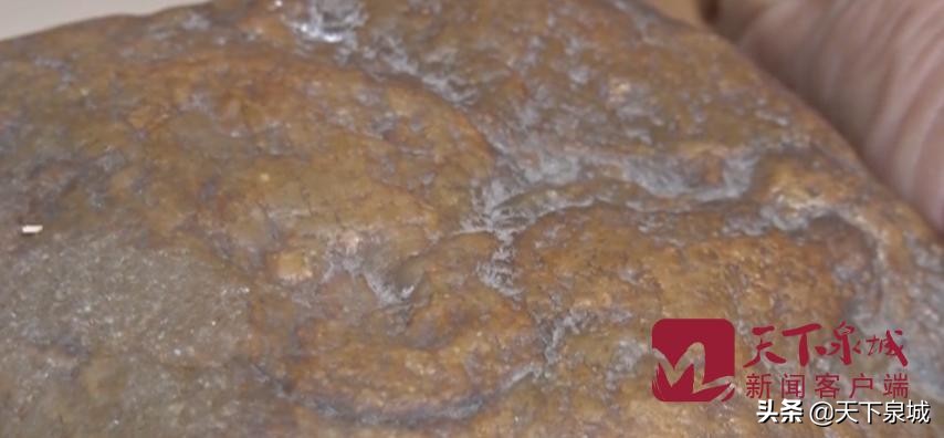 河滩上捡的狗头金,河边捡到超大狗头金