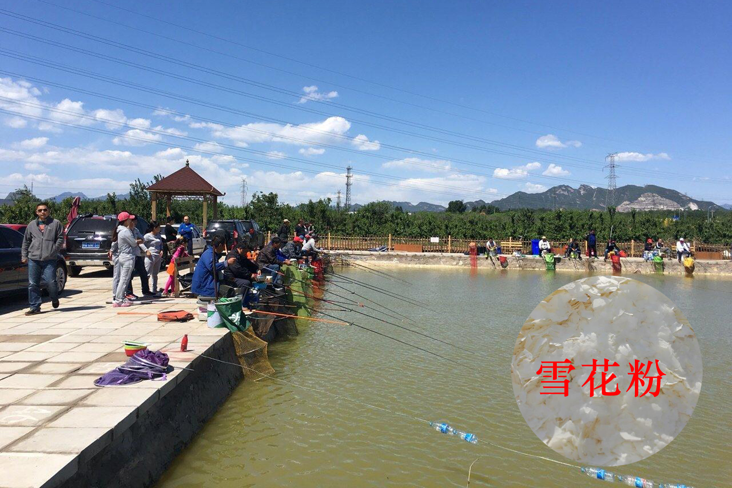 怎样增加饵料的雾化和附钩性,怎样增强钓鱼饵料粘性