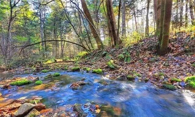黑龙江伊春马莲林场,黑龙江伊春在中国地图哪个位置