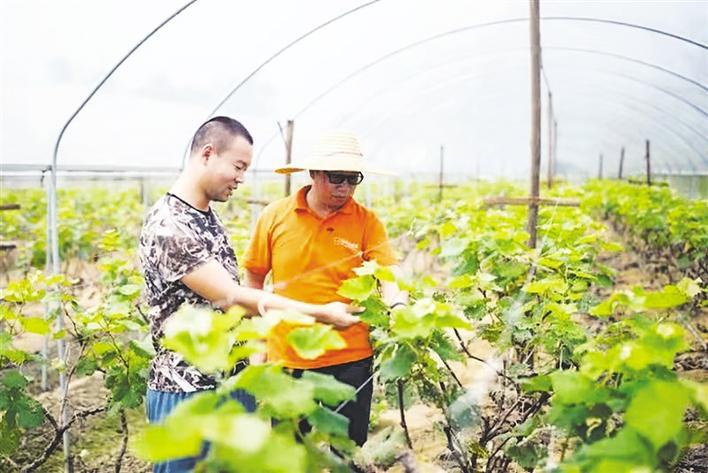 佳兆业集团：创新扶贫新模式发力帮扶暖民心