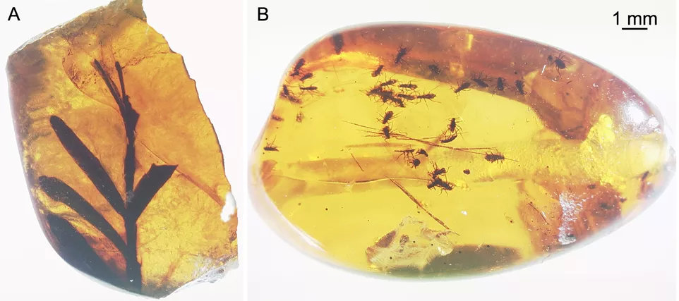 昆明市石博会翡翠展,昆明石博会翡翠展销会