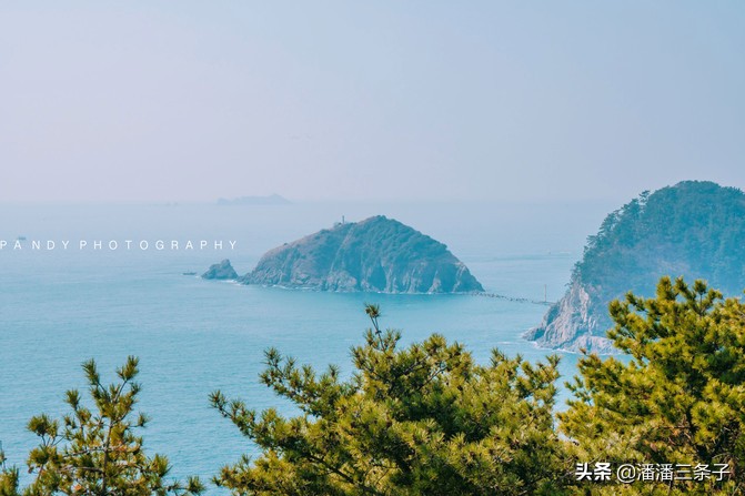 去韩国不购物回来的感受,去韩国一定要买什么