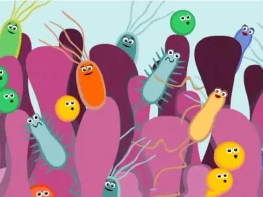 高血压会引起肠道菌群紊乱吗,高血压和肠道菌群的关系