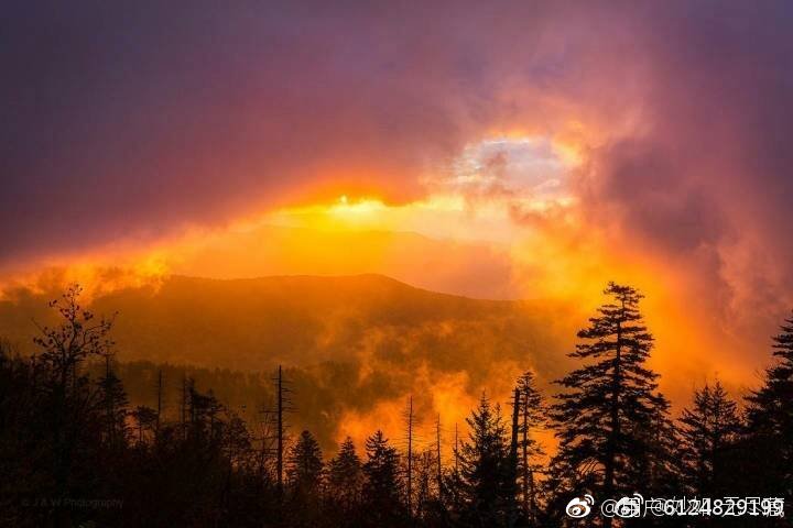 汉字中读音相同意思不一样的字,神奇的汉字长读音