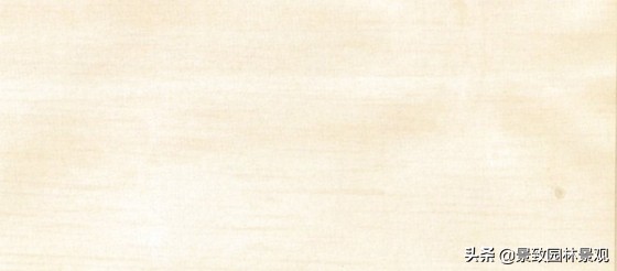 木纹最好看的木材图片,各种木材纹理图片与名称