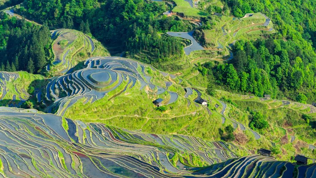 贵州这些景区有5折优惠免票活动,贵州省景区免票政策