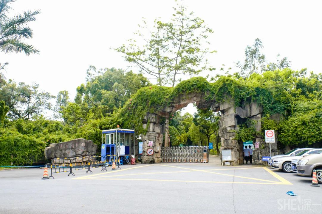 疫情期间免费开放的公园,疫情期间开放的公园有哪些