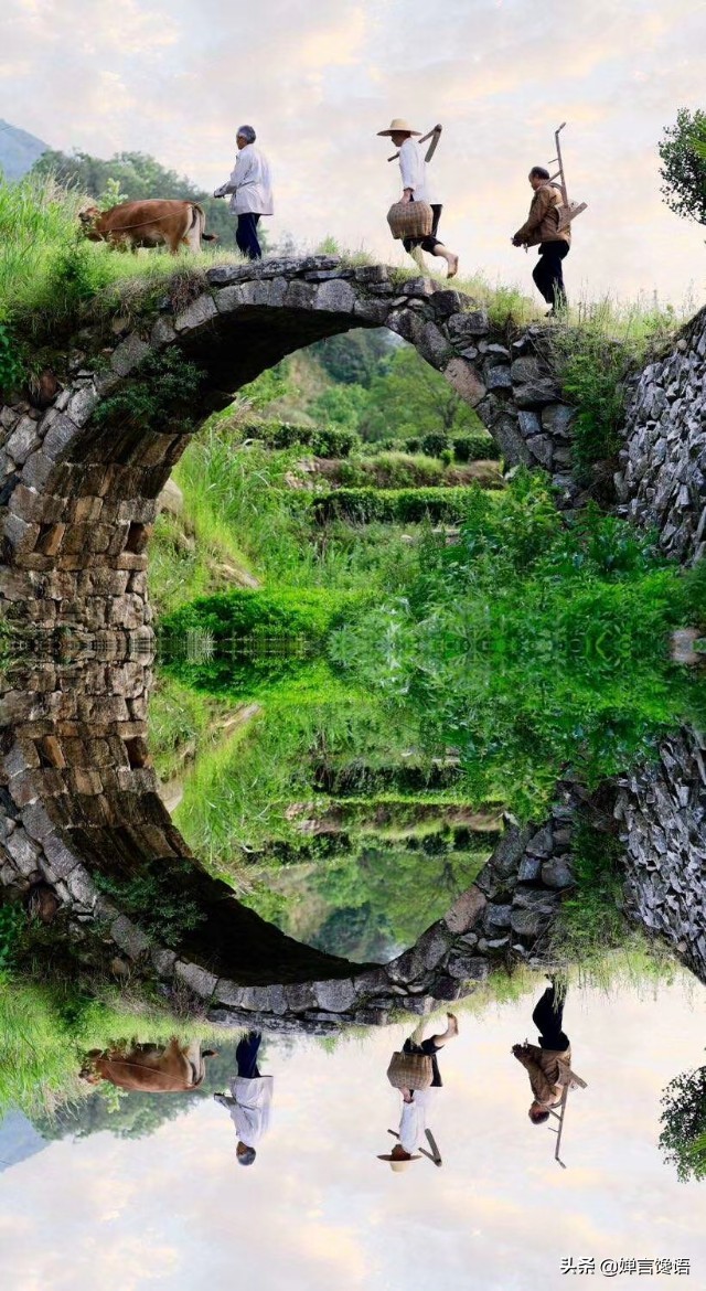 中国为什么是桃子的故乡,故乡的桃子