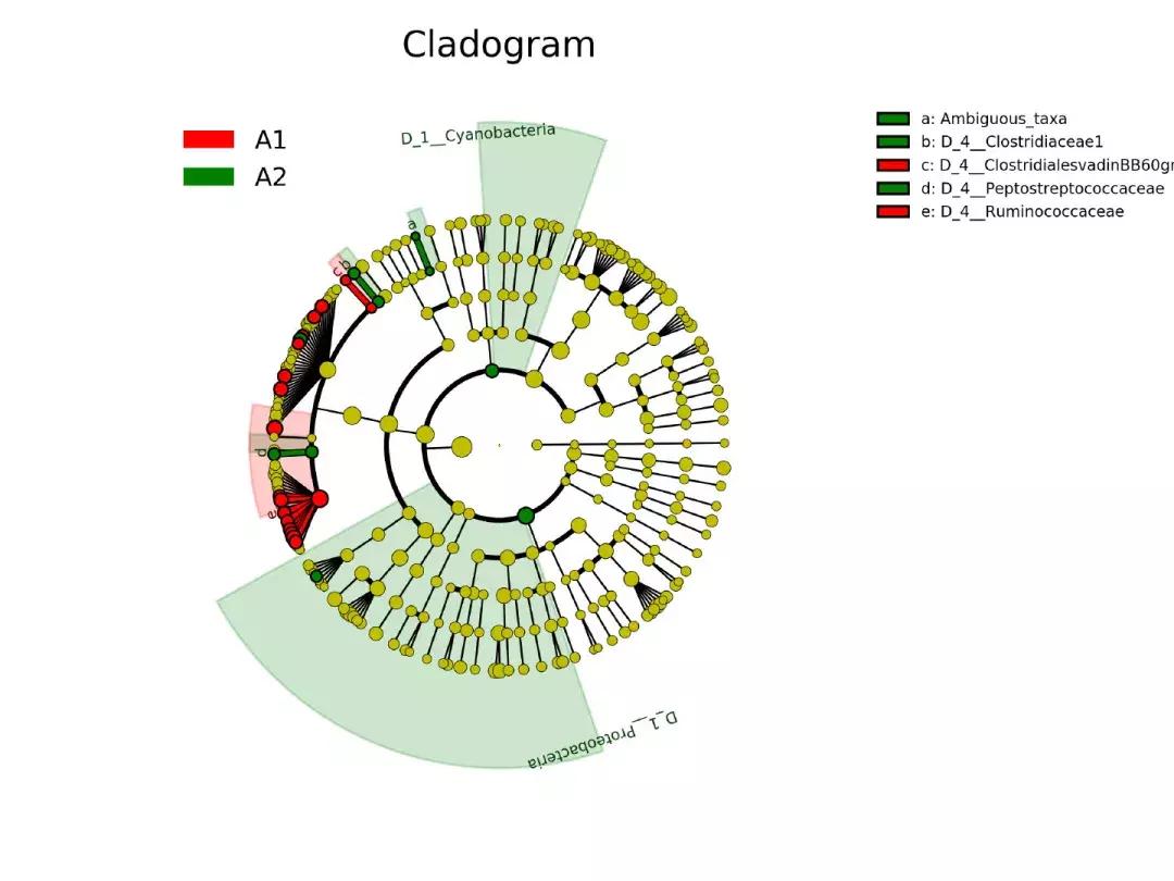 肠道菌群16s检测挂什么科,肠道菌群测序数据分析