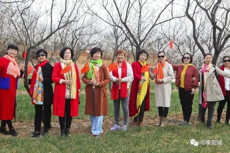 晋城哪里可以春游,晋城附近春游景点