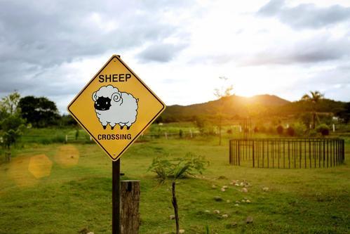 泰国旅游景点图片芭提雅,泰国曼谷景点排行榜前十名