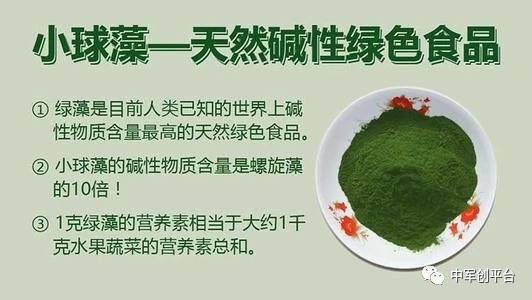 小球藻营养模式,小球藻食品推广