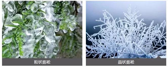 此生必去看一次雾凇太美了,此生必去看一次雾凇简直要美哭了