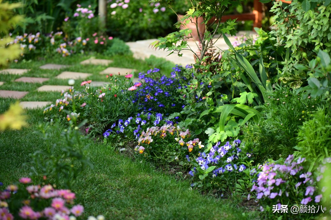 愿时光静止,愿时光静止在这一刻