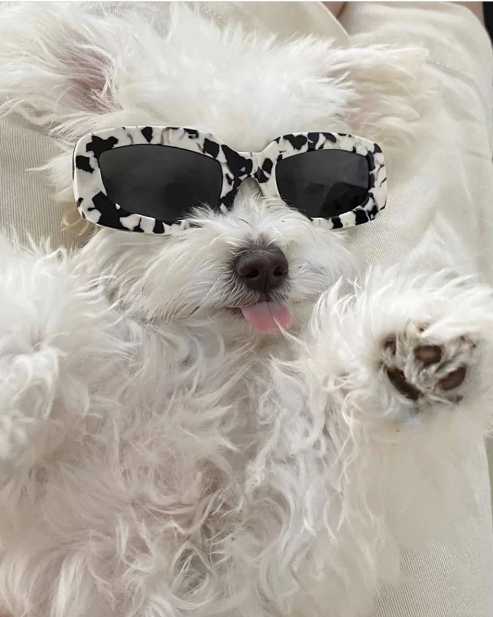 女士怎么挑选适合自己的墨镜,怎么选墨镜框适合脸型