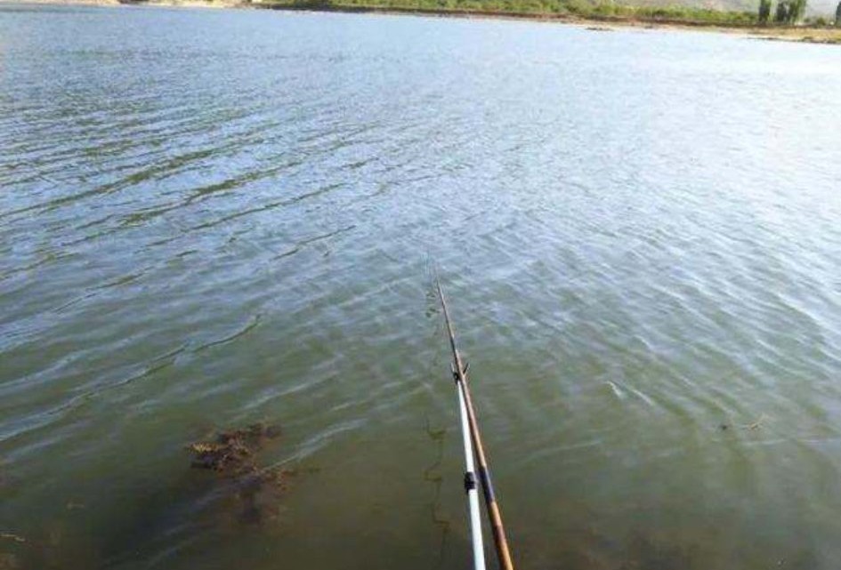 春季持续高温鱼不开口,天气太热鱼不开口有什么好的方法