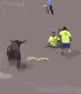 被牛角顶了是什么感觉,被牛角顶了是什么样