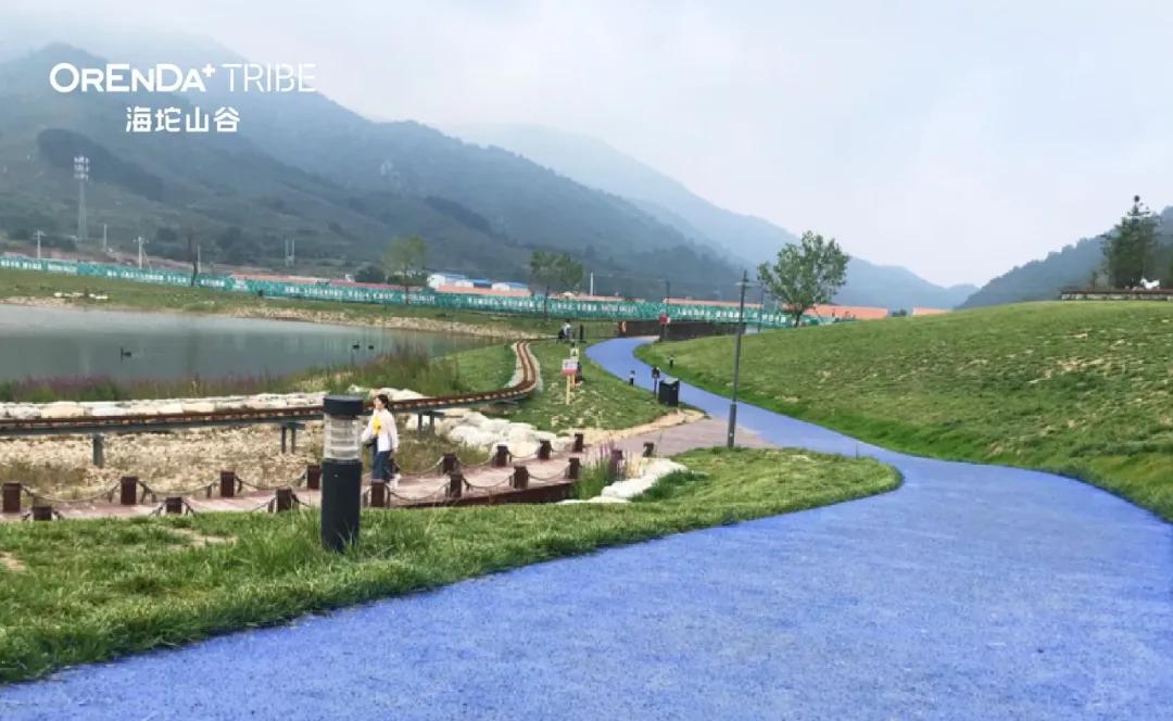 回望2020海坨耕耘路,以待2021山谷新美好