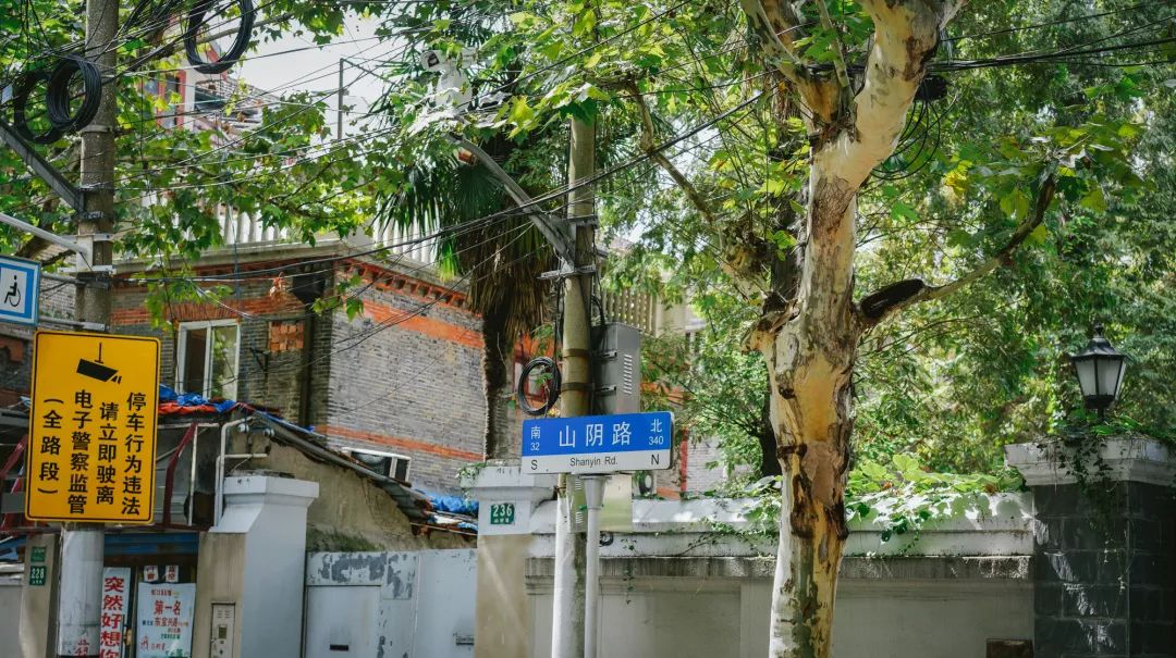 魔都最值得逛的马路,魔都网红马路视频