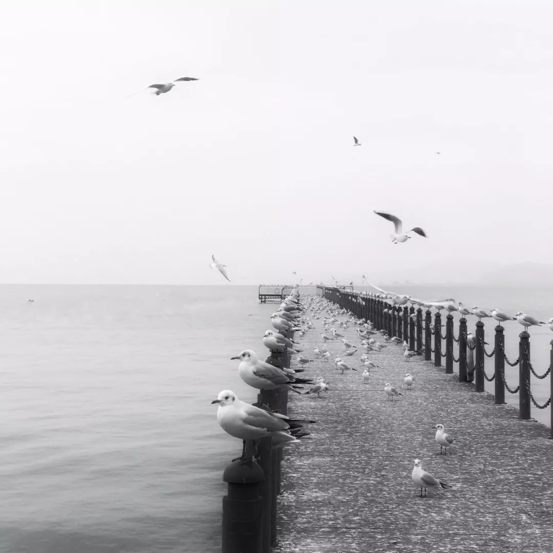 iphone自带相机如何设置美颜,新手iphone使用注意事项