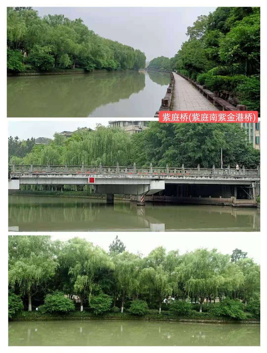 紫金港绿道钓鱼,紫金港河钓鱼