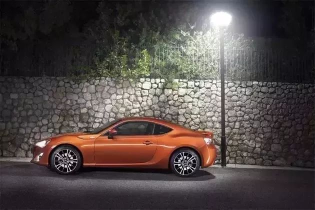 鸟为什么总是往一个人身上拉屎,为什么鸟总是拉屎到白色车上