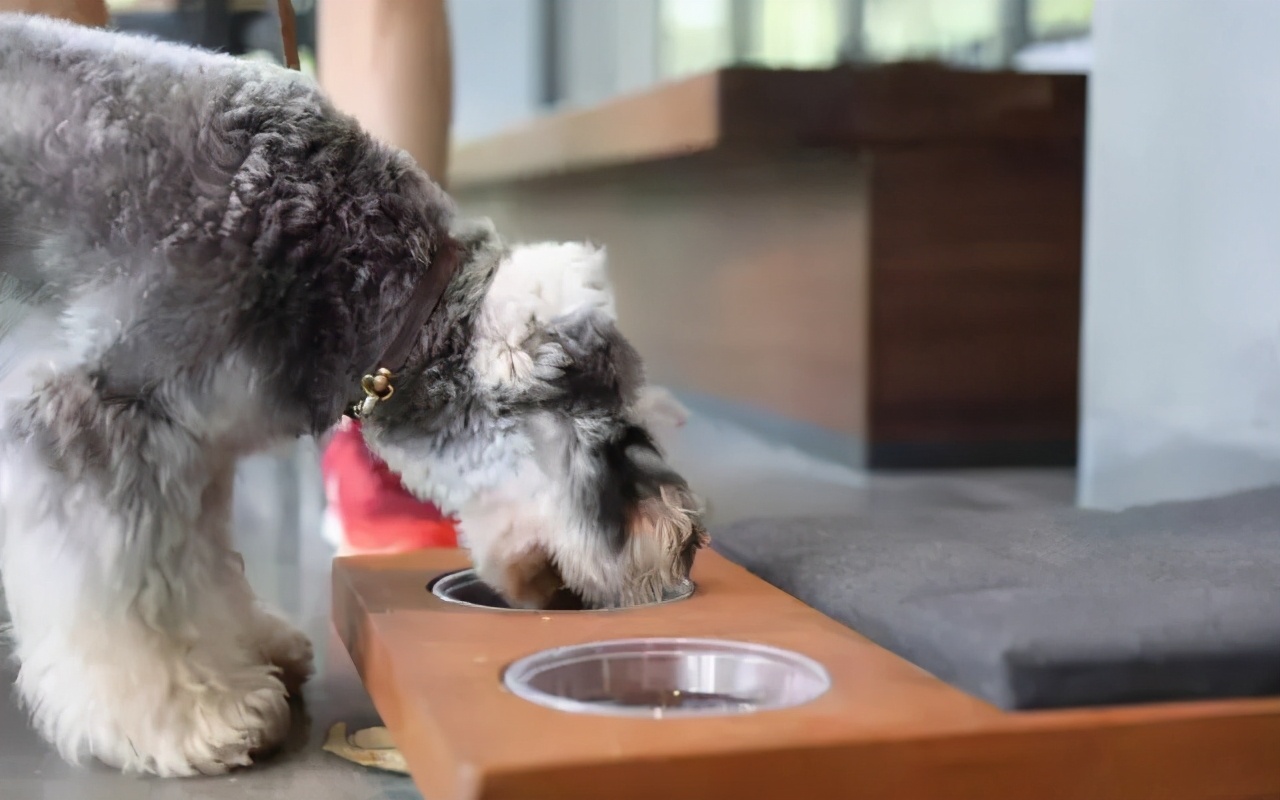 亚洲唯一一家星巴克工厂店,世界十大最具特色星巴克