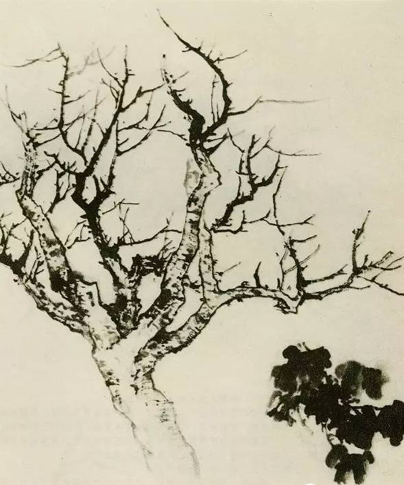 画树教程,怎么画树好看又超级简单