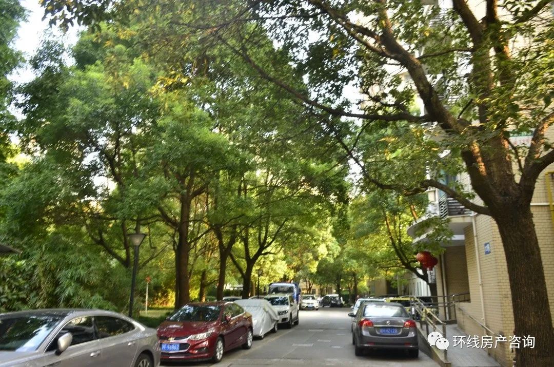 金桥近几年走势,金桥最新消息今天