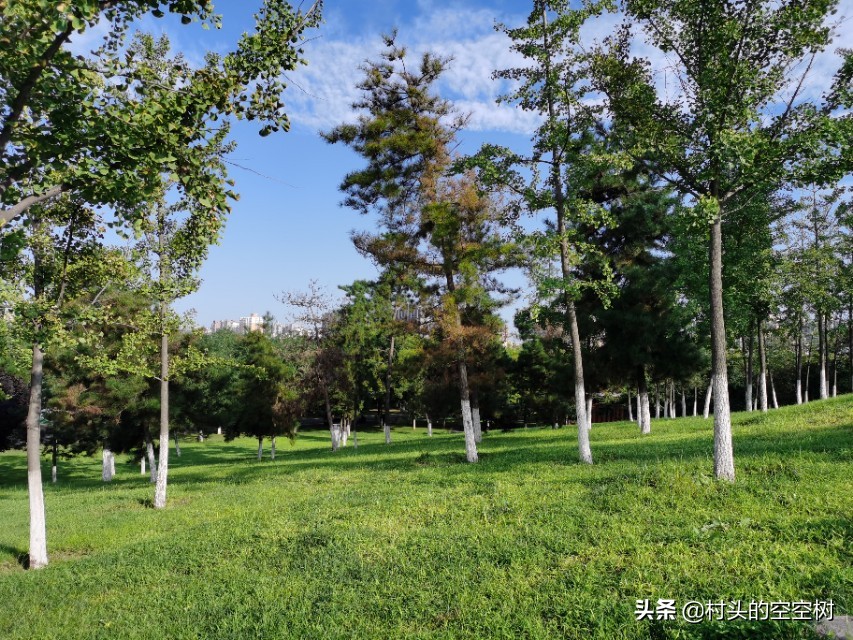 关于苦难与新生的诗,送给高一新生的诗