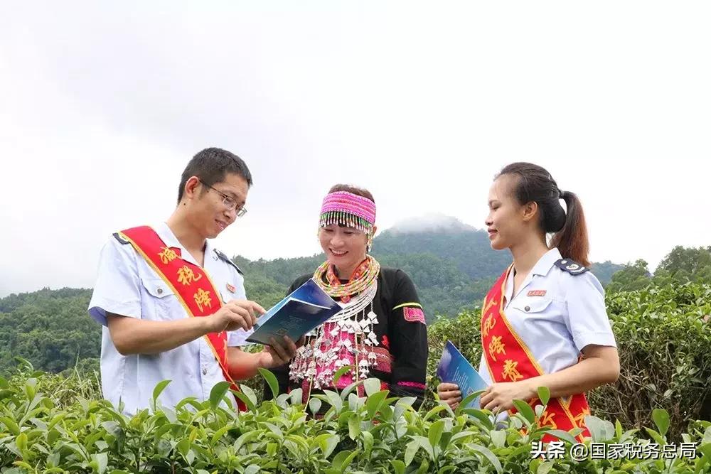 各地市税务局挂牌,全国税务系统文明单位隆重揭牌