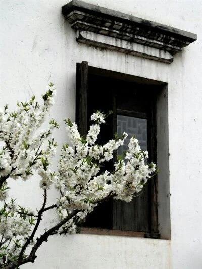 身为华夏子孙,百家姓的故事你不得不知