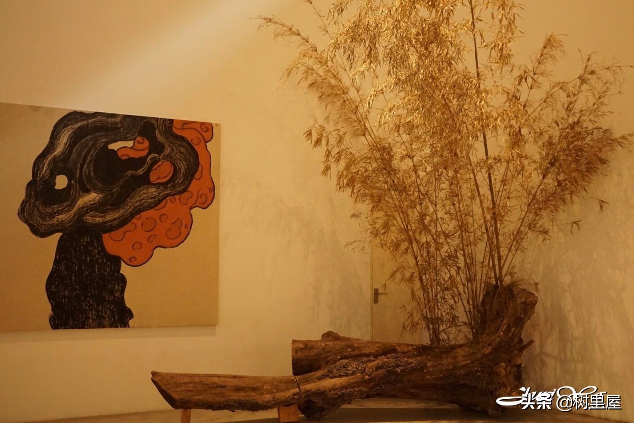 #福西探店#002——苏州本色美术馆